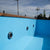 PISCINA DE MADERA THERMO SPA KORAX 4.8 M